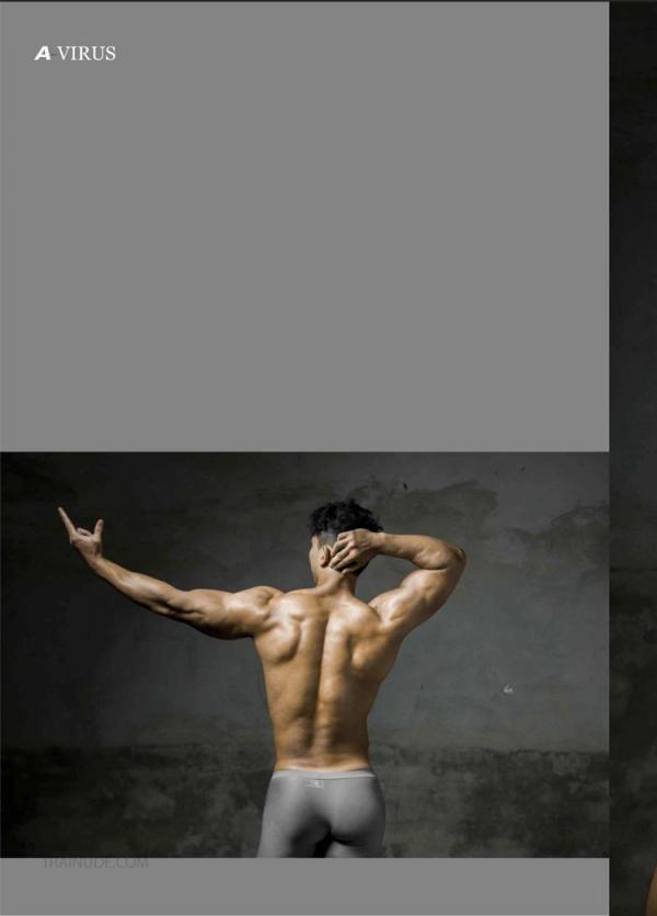 A-VIRUS-vol.04--ebook--video